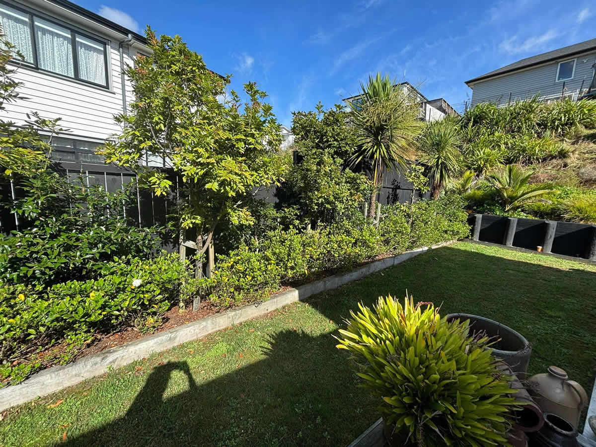 Maintained garden and lawn